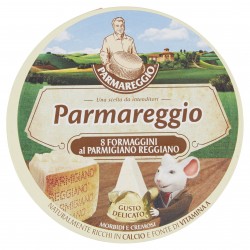 PARMAREGGIO FORMAGGINI g140