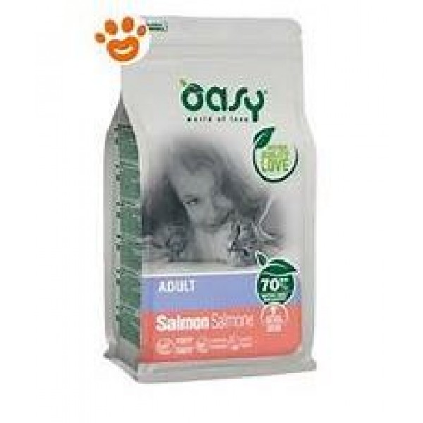OASY DRY CAT SALMONE 1,5 KG