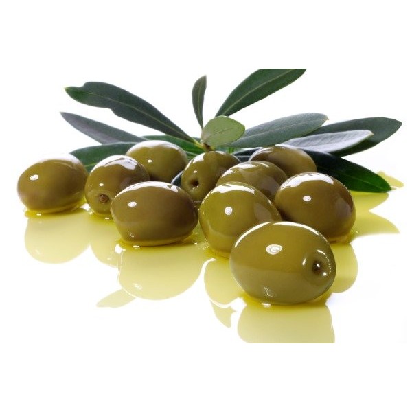 OLIVE BIANCHE